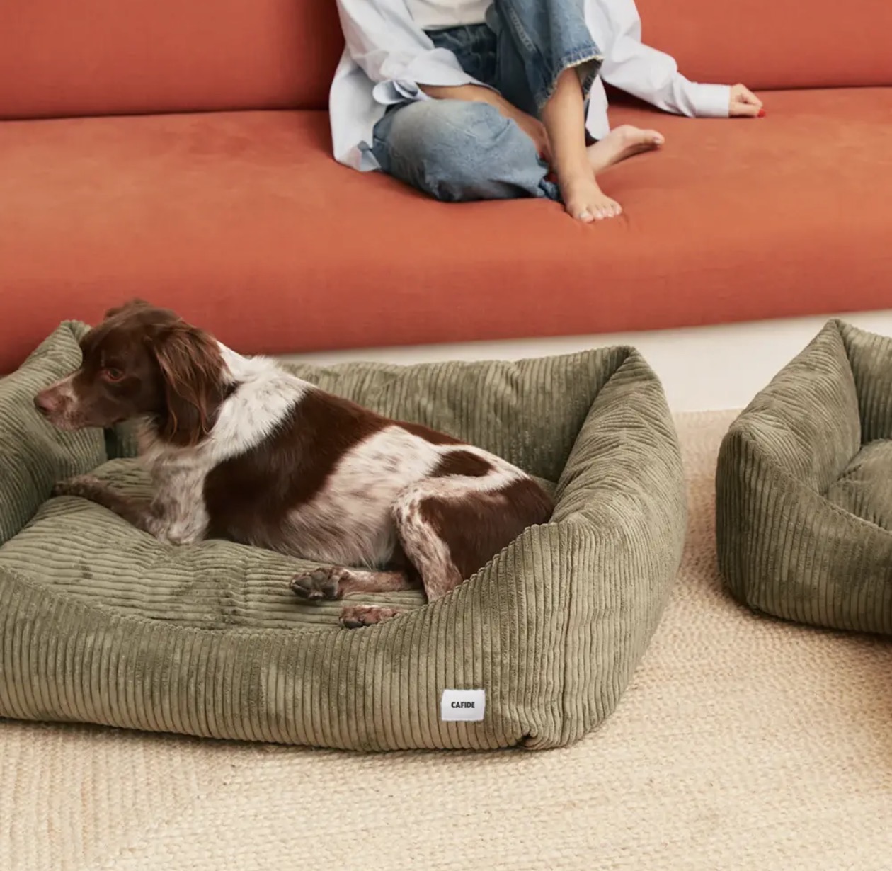 Luxe ligmanden voor honden en katten