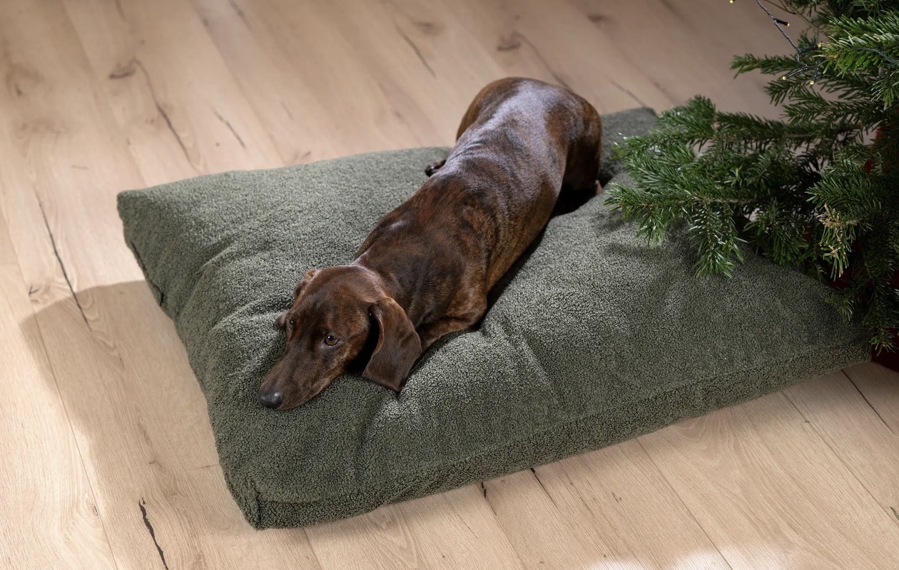 Premium hondenkussens en kattenkussens
